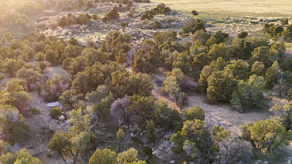  Gooseberry, UT 84654