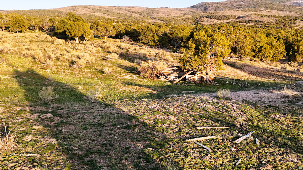  Gooseberry, UT 84654