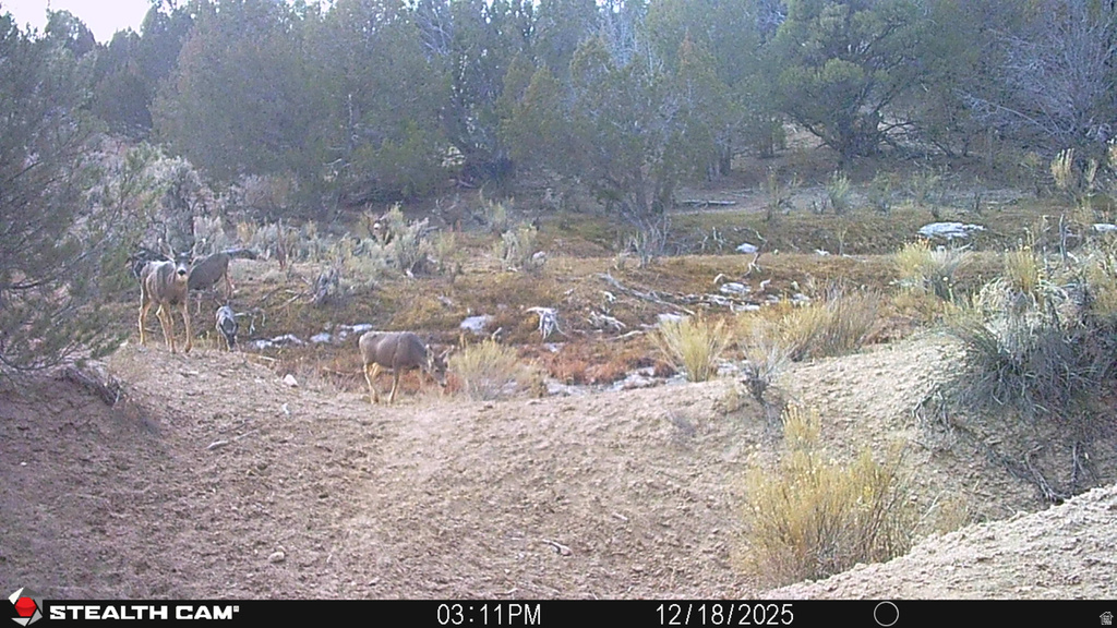  Gooseberry, UT 84654