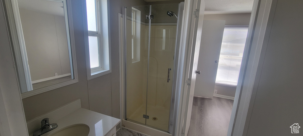 Bathroom featuring a stall shower, a sink, a textured ceiling, and a wealth of natural light