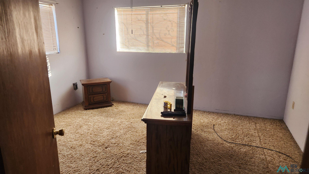 Photo #8