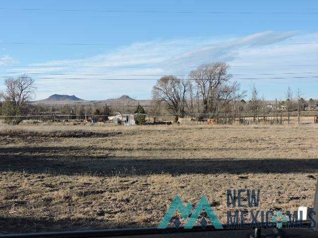 Photo #4