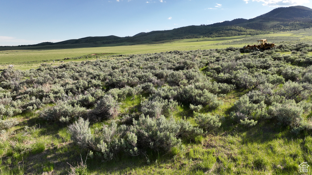 10630 N 600 E Malad City, ID 83252