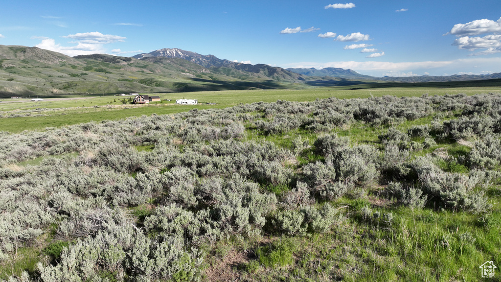 10630 N 600 E Malad City, ID 83252