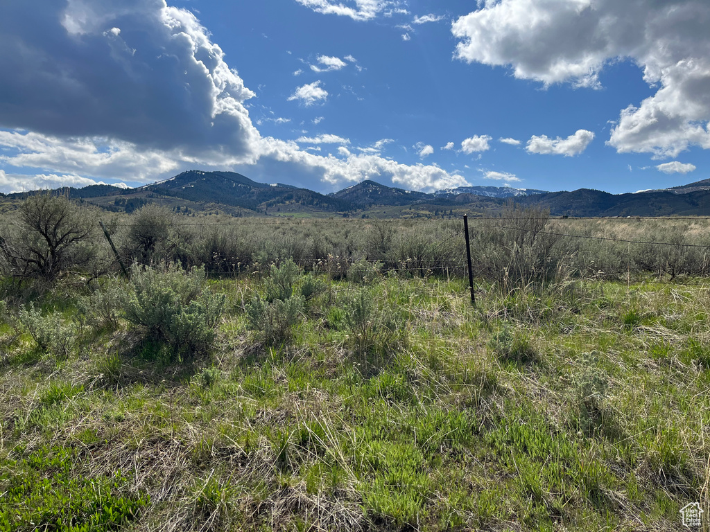 10630 N 600 E Malad City, ID 83252