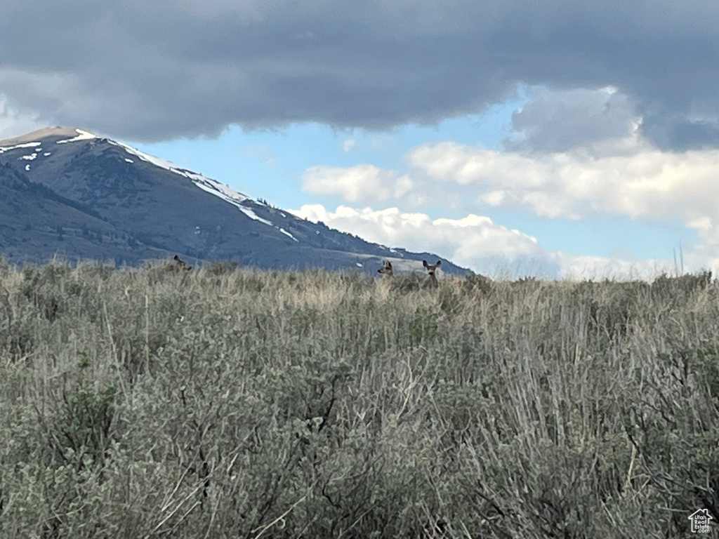 10630 N 600 E Malad City, ID 83252