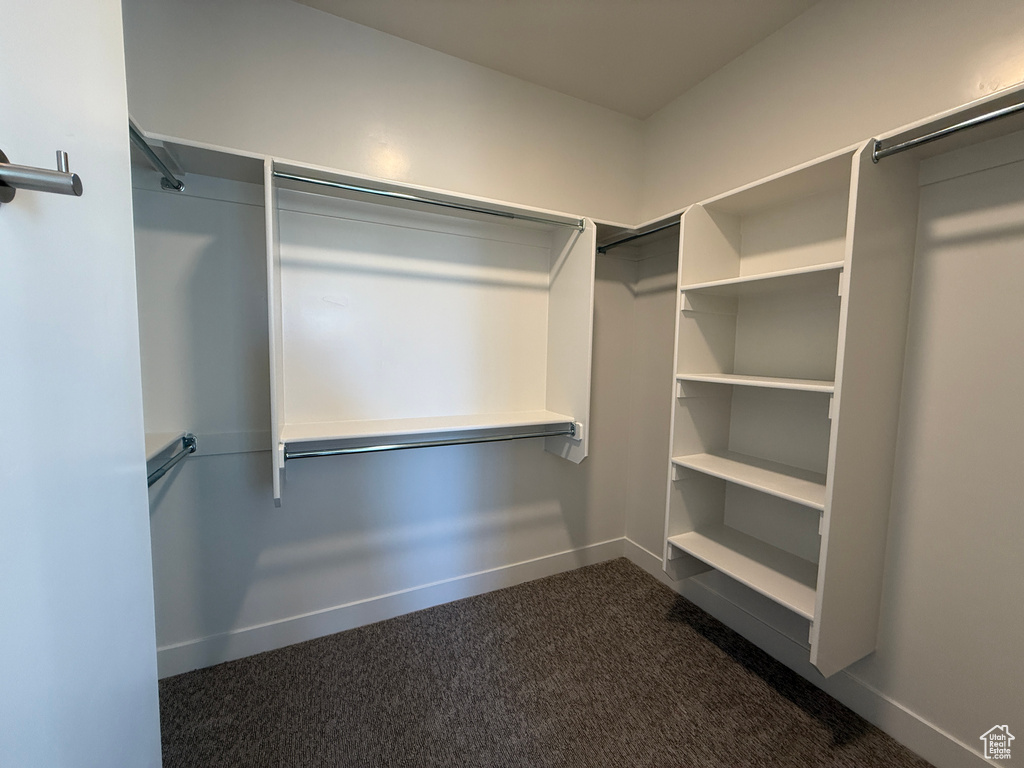 Spacious closet with dark carpet