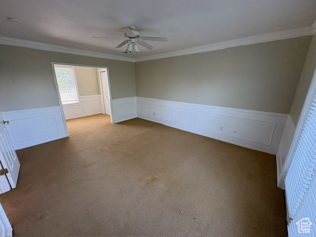 Carpeted spare room with a ceiling fan, crown molding, and a wainscoted wall