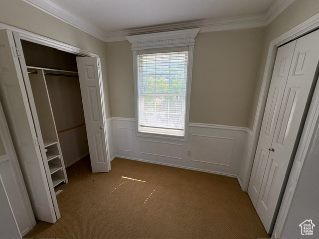 Unfurnished bedroom featuring a wainscoted wall, crown molding, carpet floors, and a closet