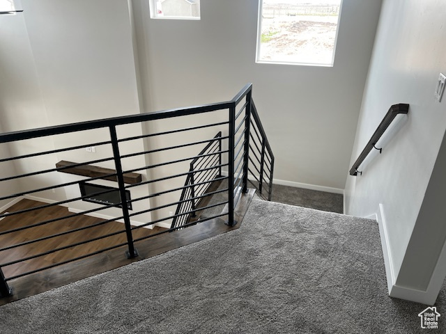 Stairway with carpet floors and baseboards