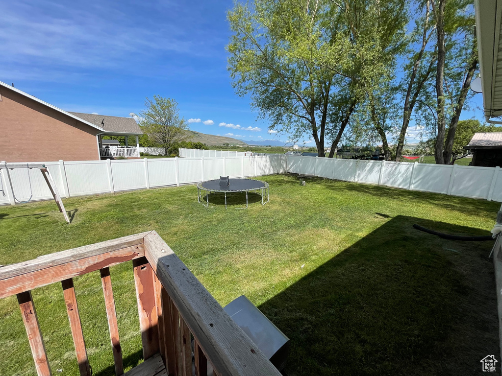 Fenced backyard with a trampoline