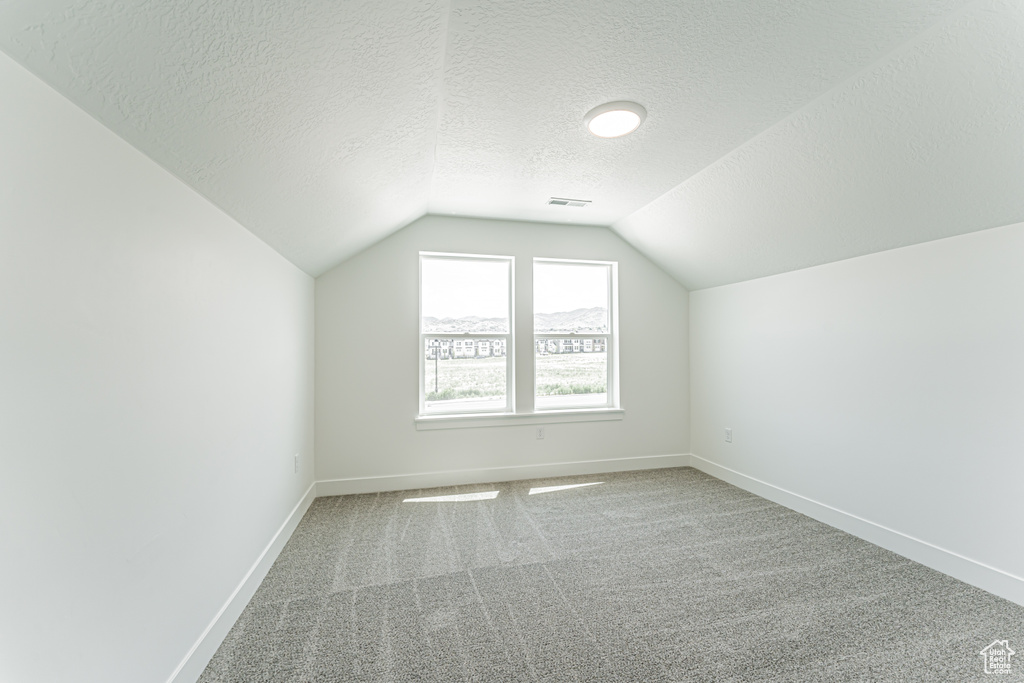 Bonus room featuring lofted ceiling, a textured ceiling, and carpet flooring