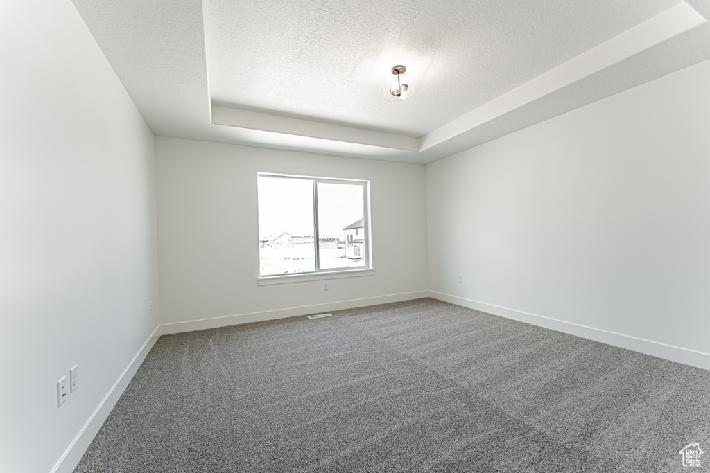 Carpeted spare room featuring a textured ceiling and a raised ceiling