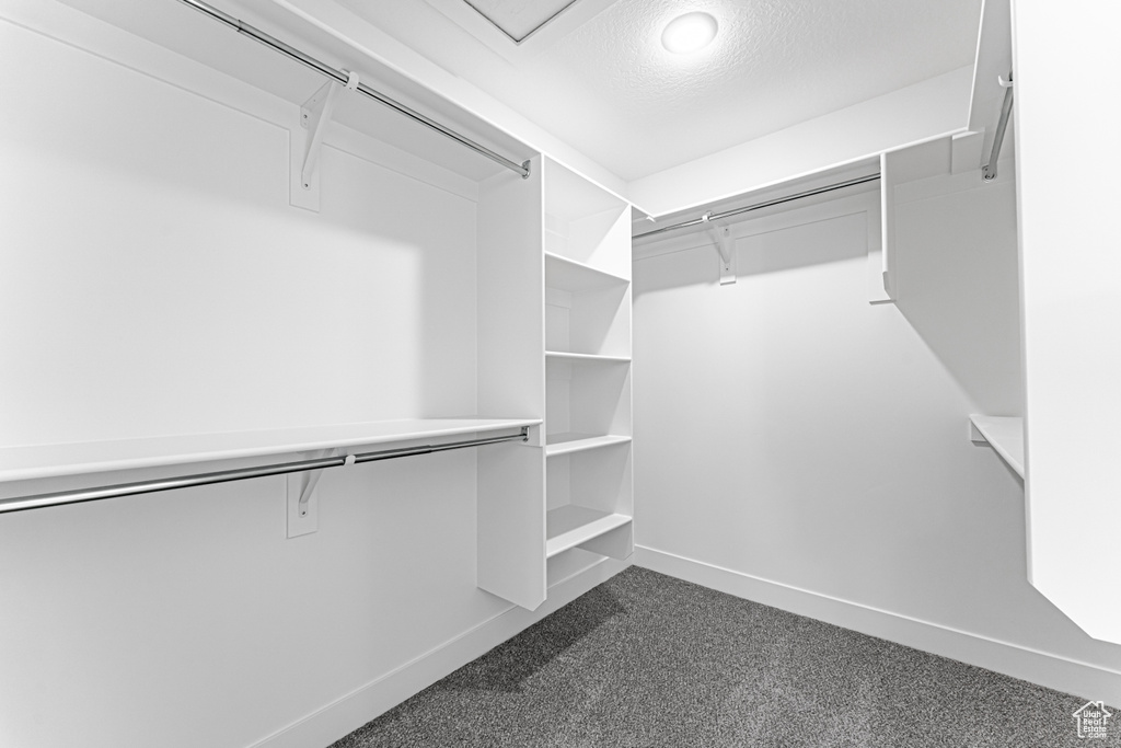 Spacious closet featuring dark colored carpet