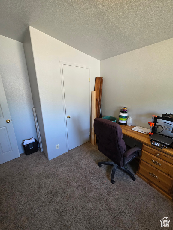 Office space with carpet flooring, a textured ceiling, and lofted ceiling