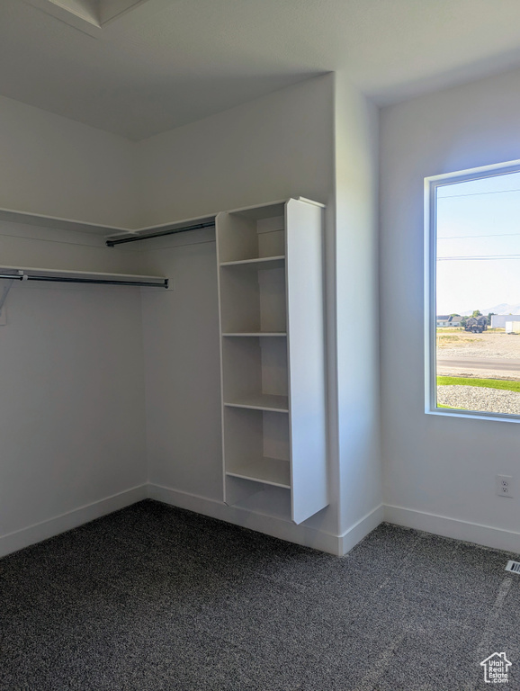 Spacious closet with dark colored carpet