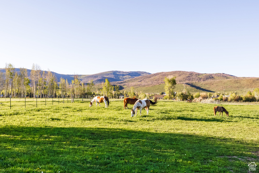 View of mountain background with a pastoral area and rural landscape