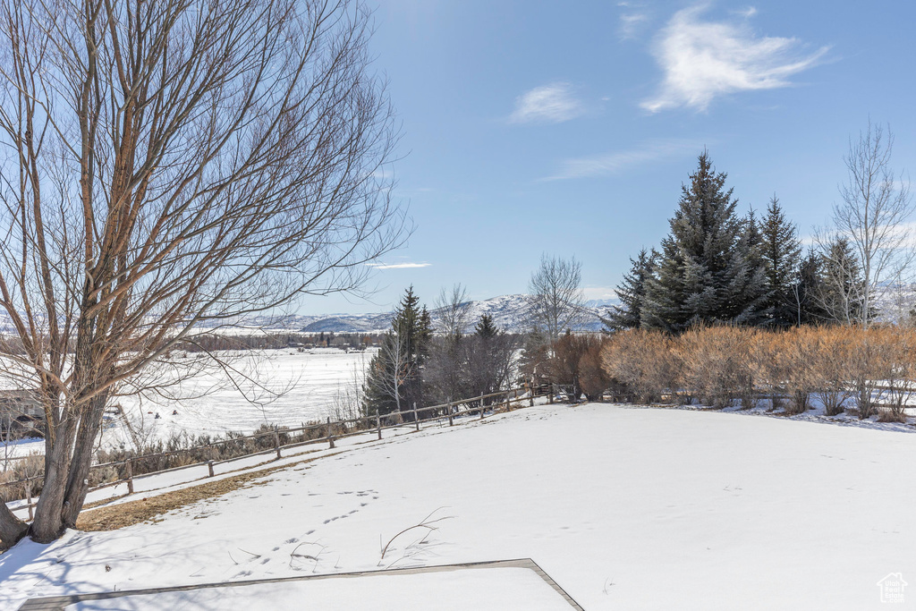 View of snowy yard