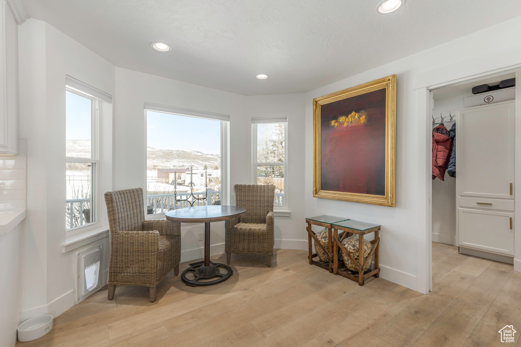 Sitting room featuring light wood-type flooring, plenty of natural light, baseboards, and recessed lighting