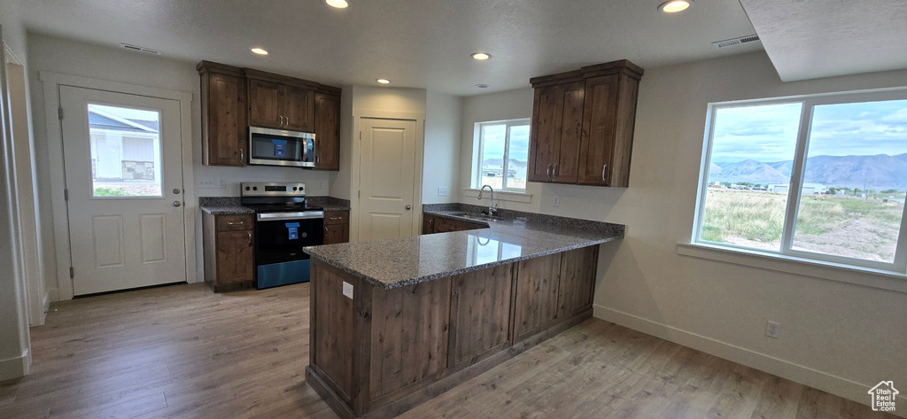 Kitchen with appliances with stainless steel finishes, plenty of natural light, light wood-style flooring, and recessed lighting