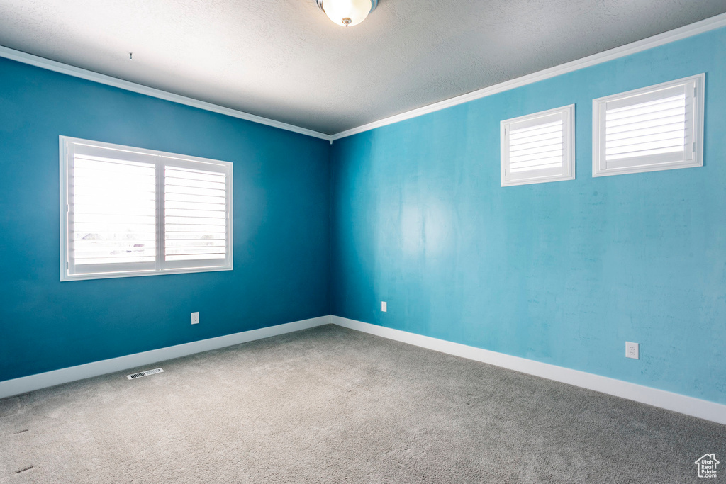 Carpeted empty room featuring ornamental molding, visible vents, and baseboards
