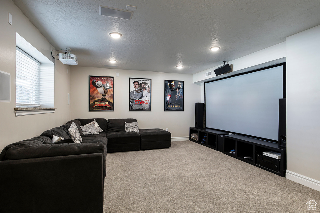 Carpeted cinema featuring baseboards and a textured ceiling