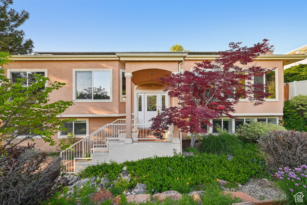 Rear view of house with stucco siding