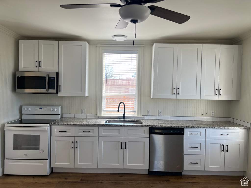 Kitchen with a ceiling fan, white cabinetry, a sink, stainless steel appliances, and dark wood-style floors
