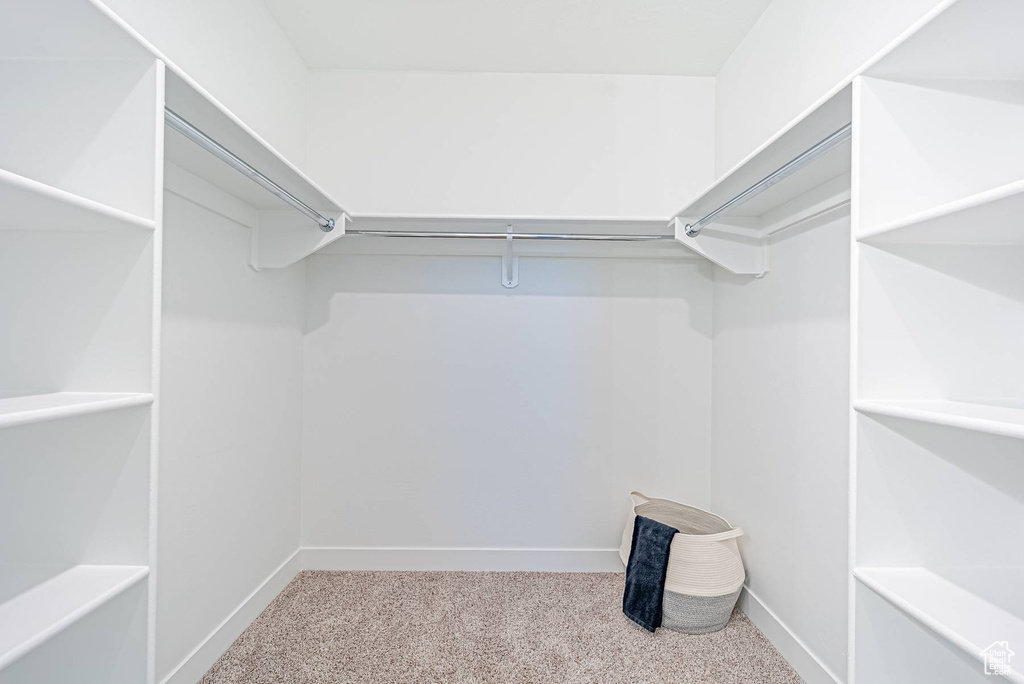 Walk in closet featuring carpet