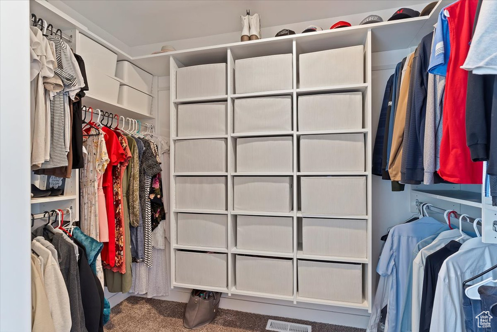 Walk in closet featuring carpet floors