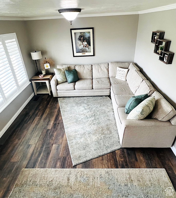 Living room with baseboards, crown molding, and wood finished floors