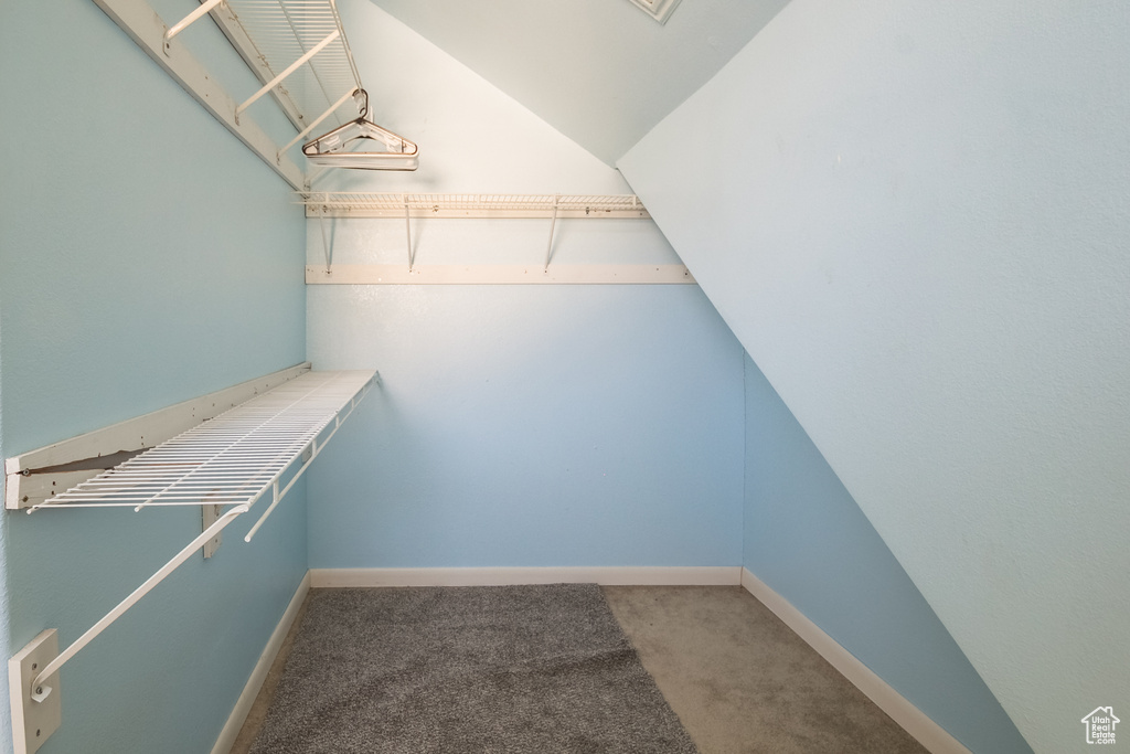 Spacious closet featuring carpet floors