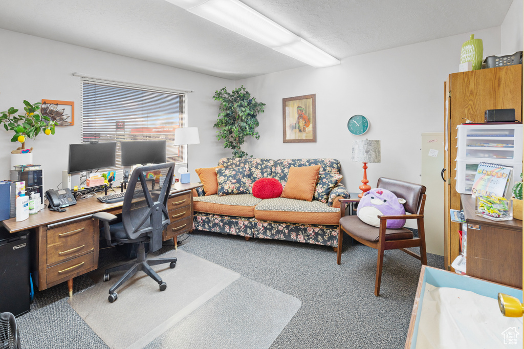 View of carpeted home office