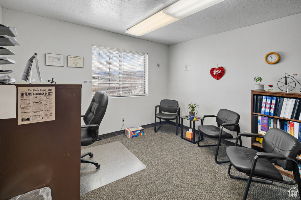 Carpeted office space featuring a textured ceiling
