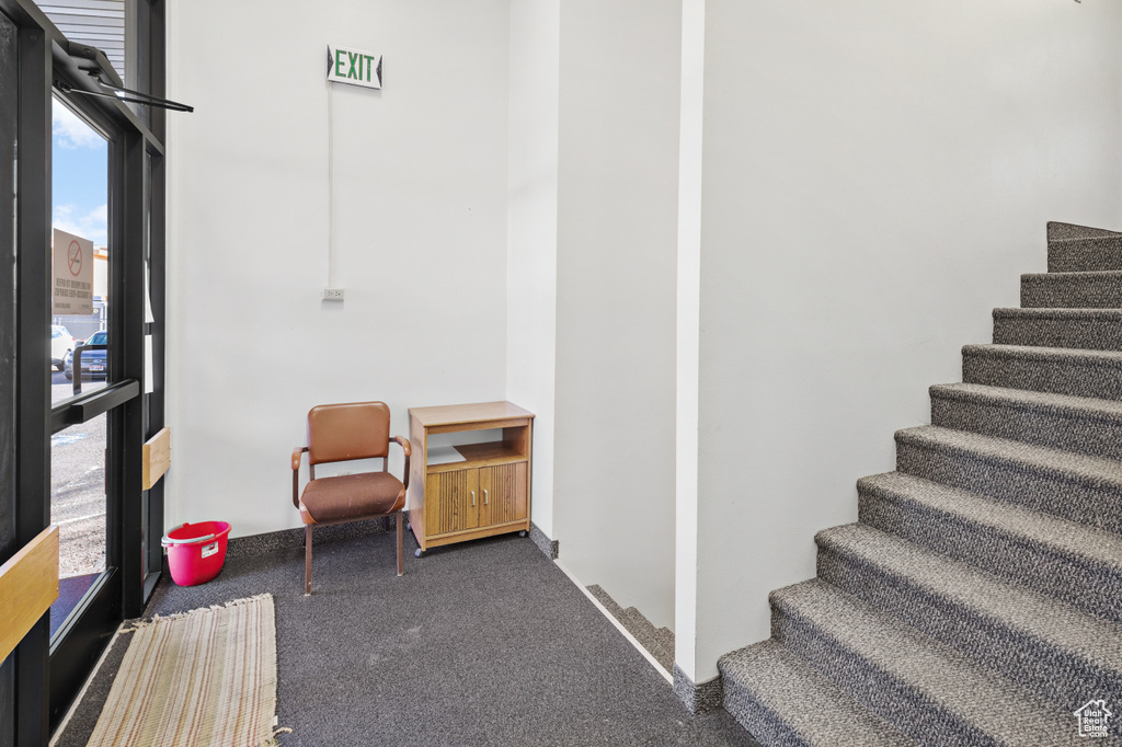Stairs featuring carpet flooring