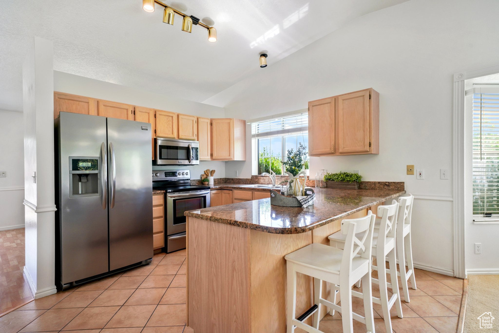 1161 E 200 N Pleasant Grove, UT 84062