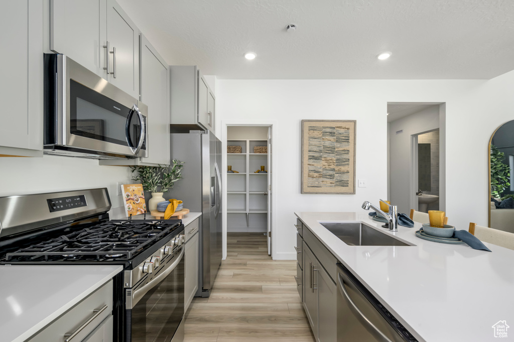 Kitchen featuring gray cabinets, light wood-style flooring, light countertops, appliances with stainless steel finishes, and a sink