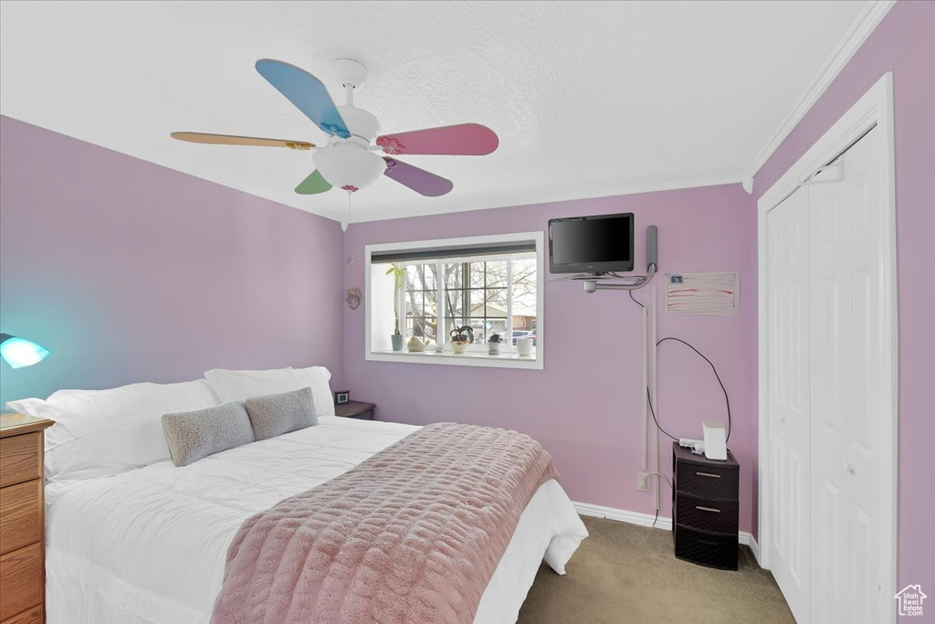 Carpeted bedroom with crown molding, a closet, baseboards, and ceiling fan