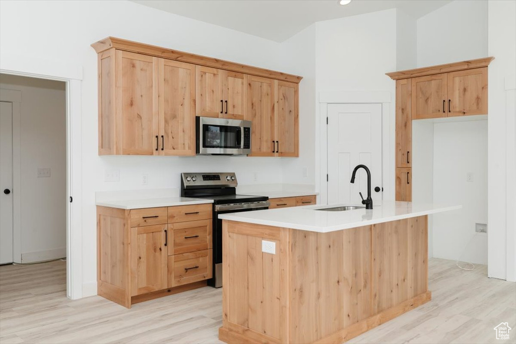 Kitchen with stainless steel appliances, light wood-style flooring, and a sink