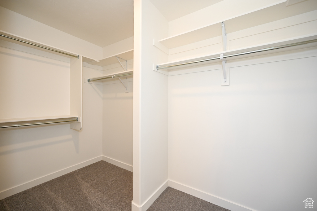 Spacious closet with dark colored carpet