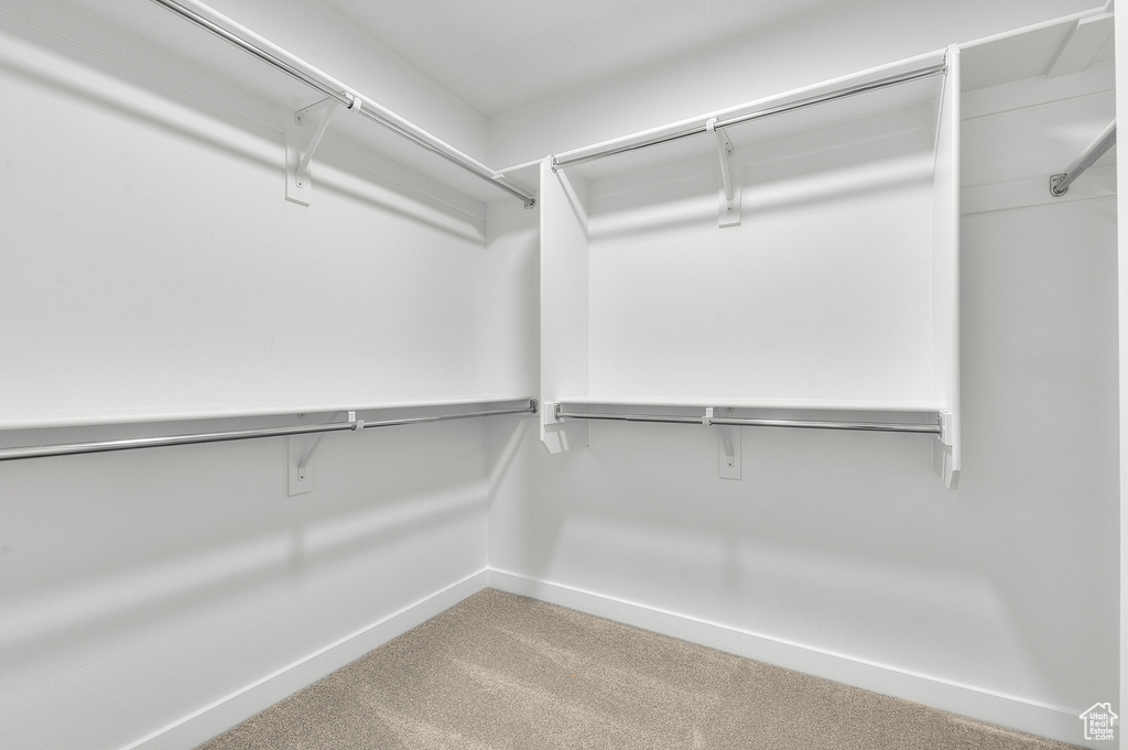Spacious closet featuring carpet floors