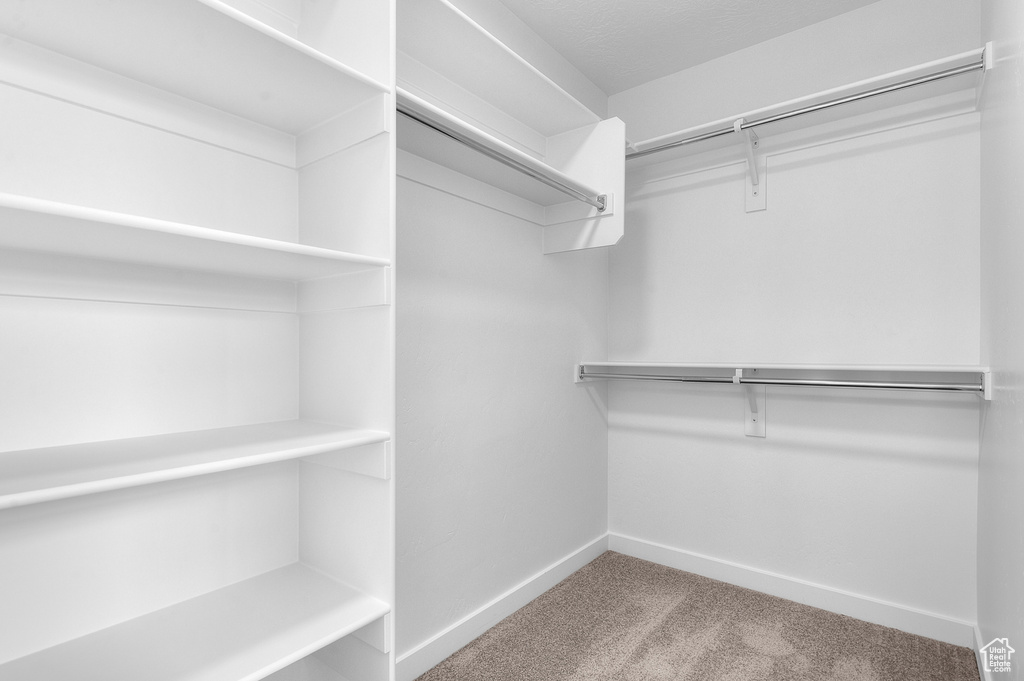 Spacious closet with carpet flooring