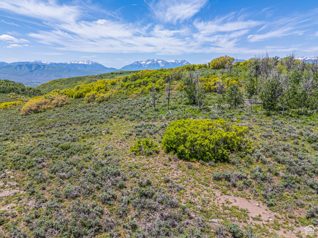 View of mountain backdrop