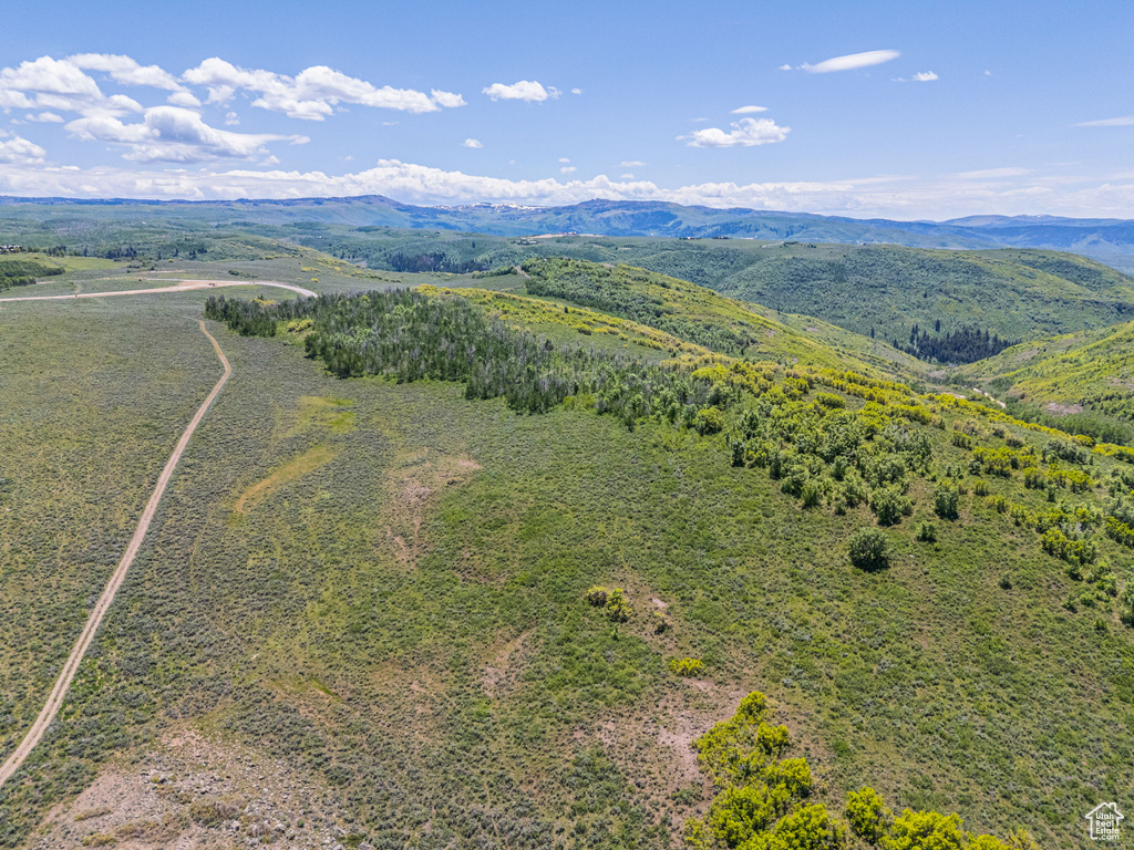 Drone / aerial view of a mountain backdrop