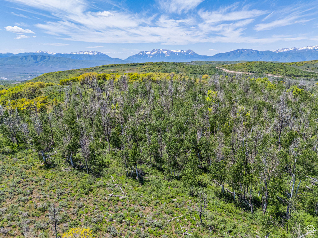 Mountain view with a heavily wooded area
