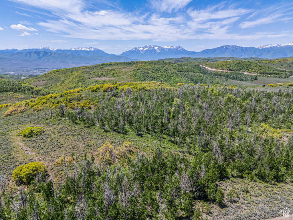 Mountain view with a forest
