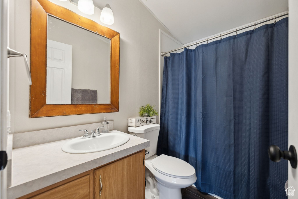 Full bathroom featuring toilet, vanity, and a shower with curtain