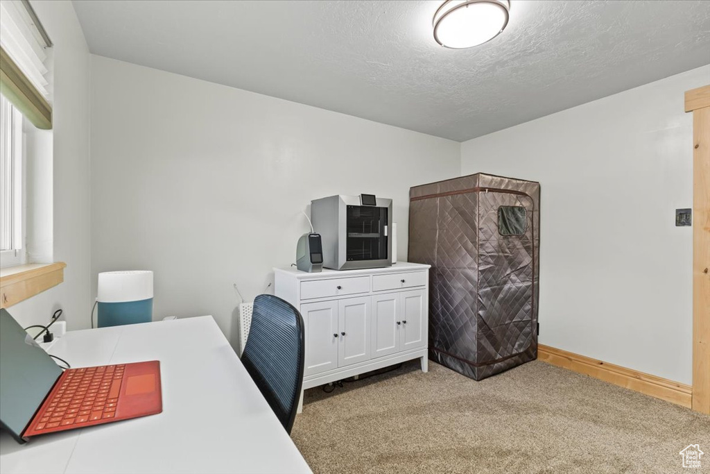 Home office with a textured ceiling, baseboards, and carpet