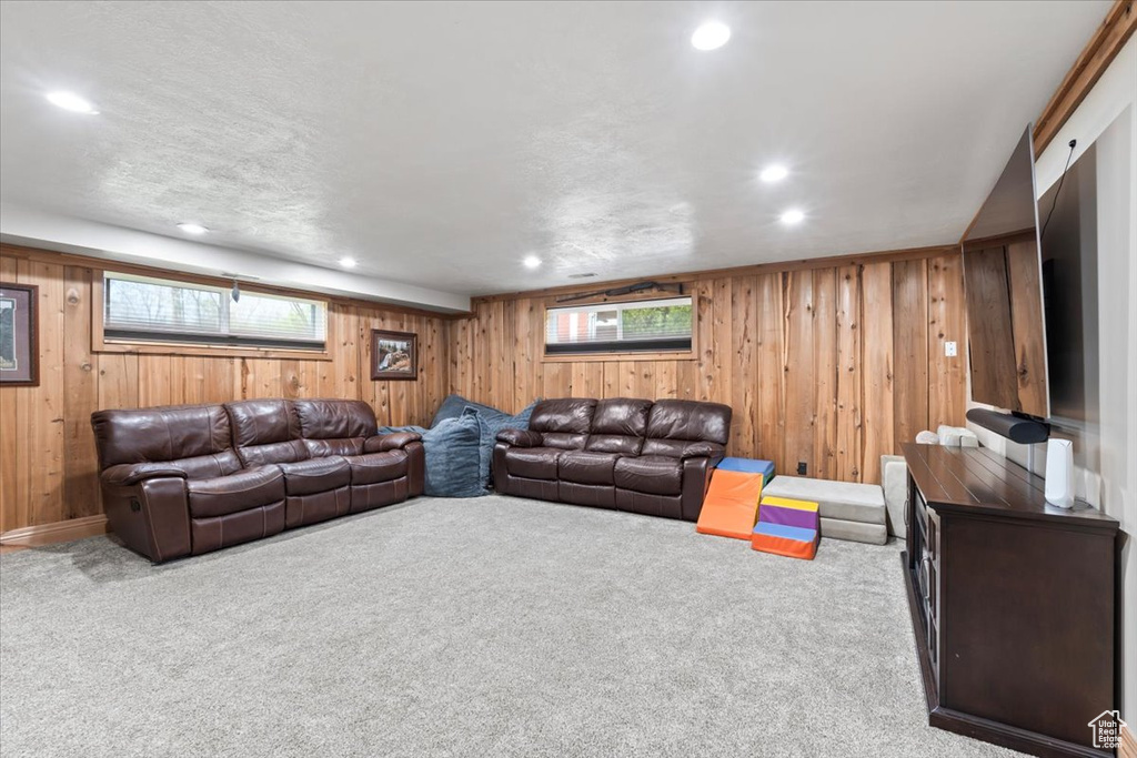 Living room with wood walls, carpet, and plenty of natural light