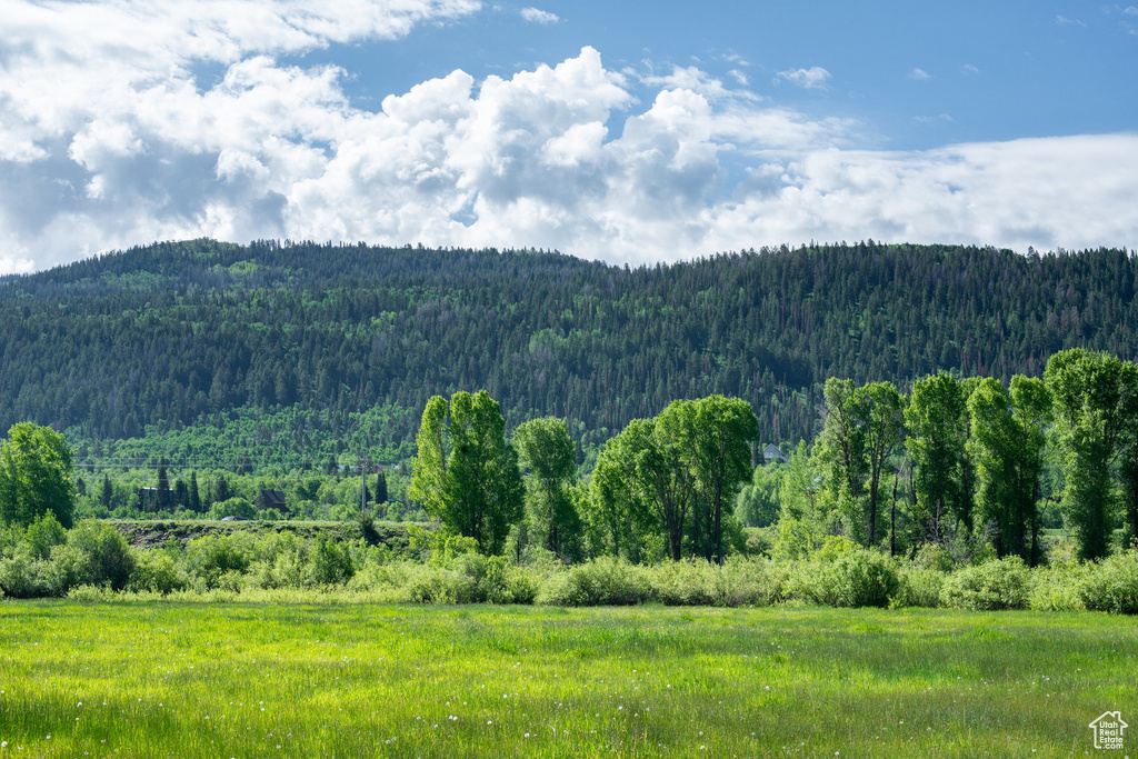 5050 E WEBER CANYON RD Oakley, UT 84055